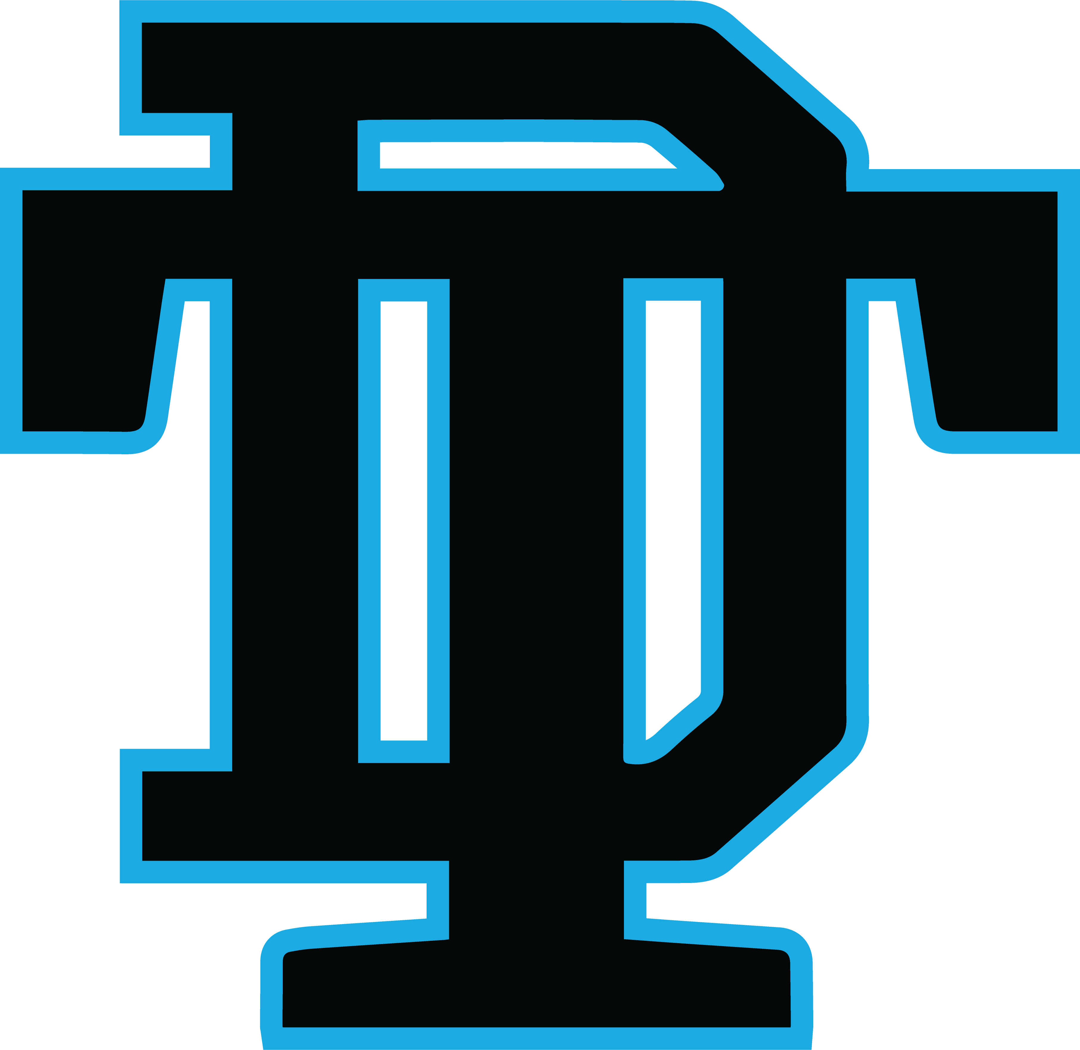 DT Logo Vector-1
